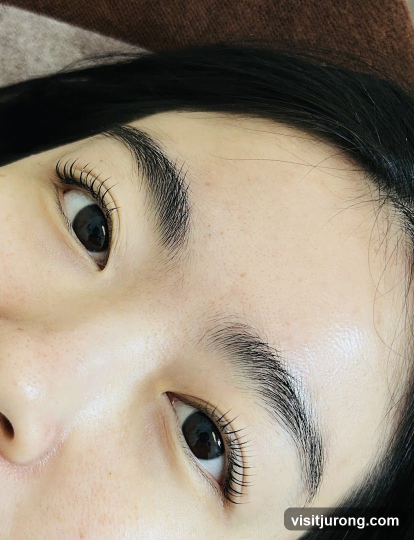 Close-up of Eyelashes and Eyebrows