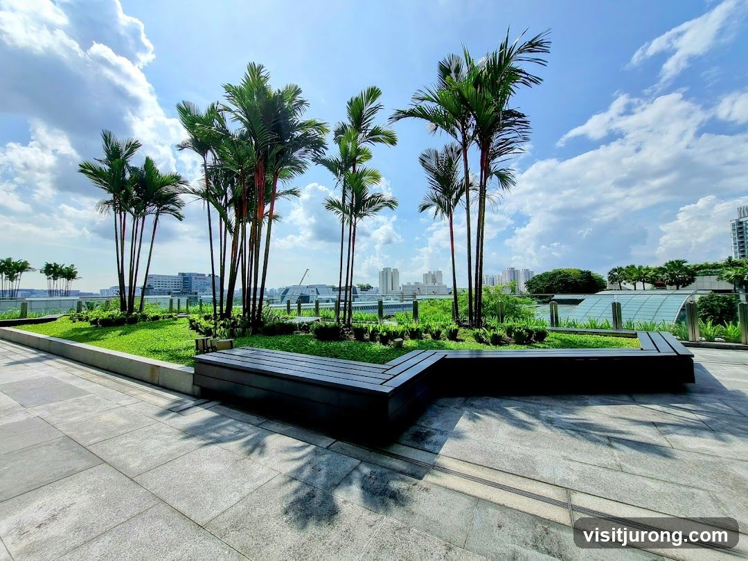 Rooftop Garden with Palm Trees and Benches
