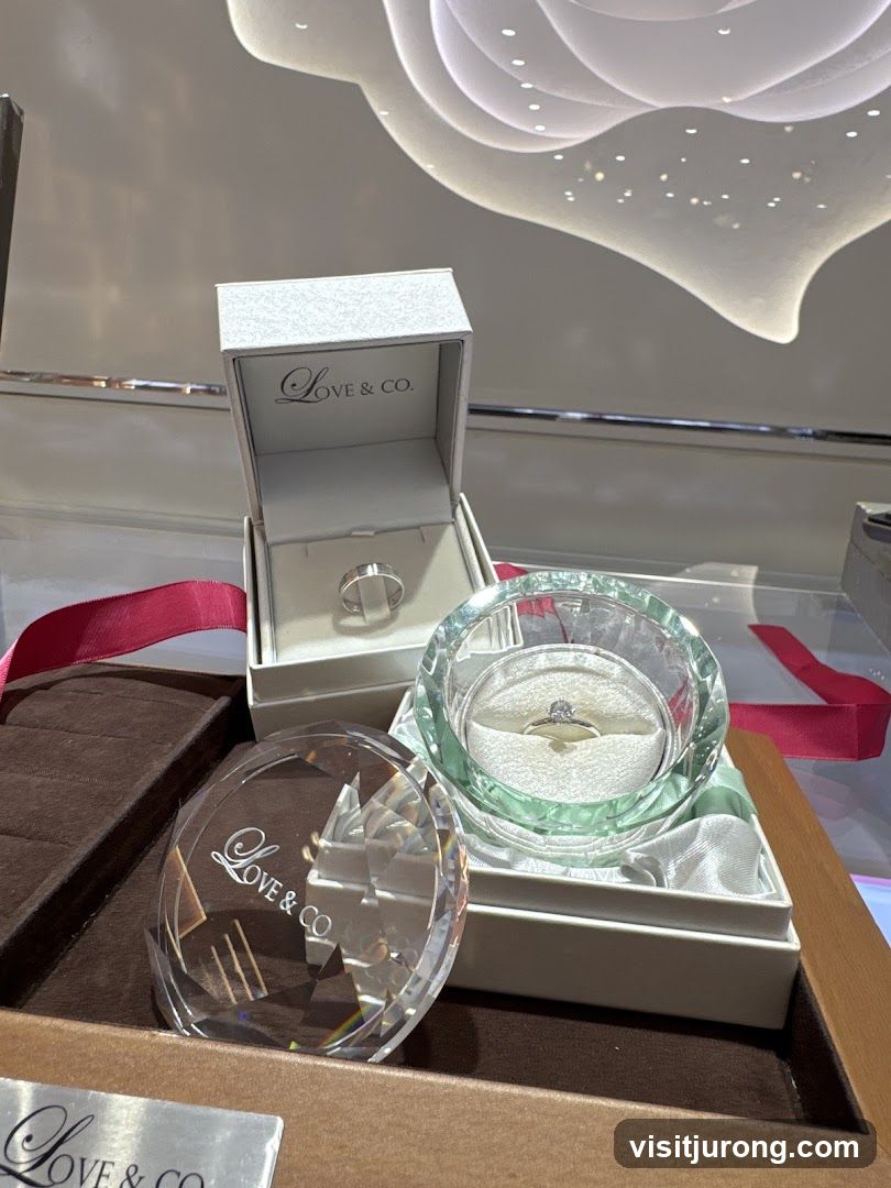Jewelry Display