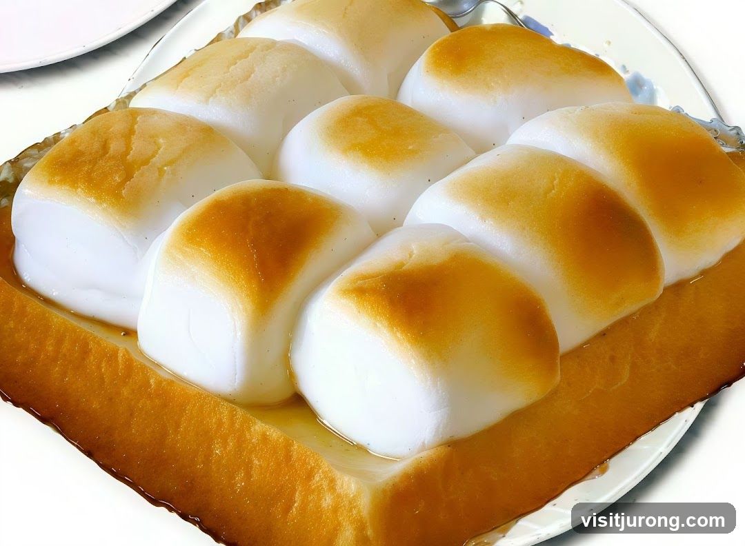 Toasted Marshmallow Dessert