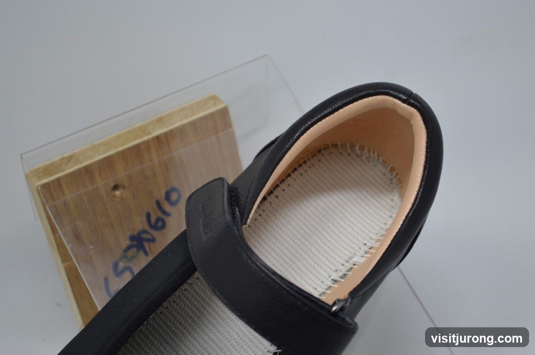 Black Mary Jane Shoe