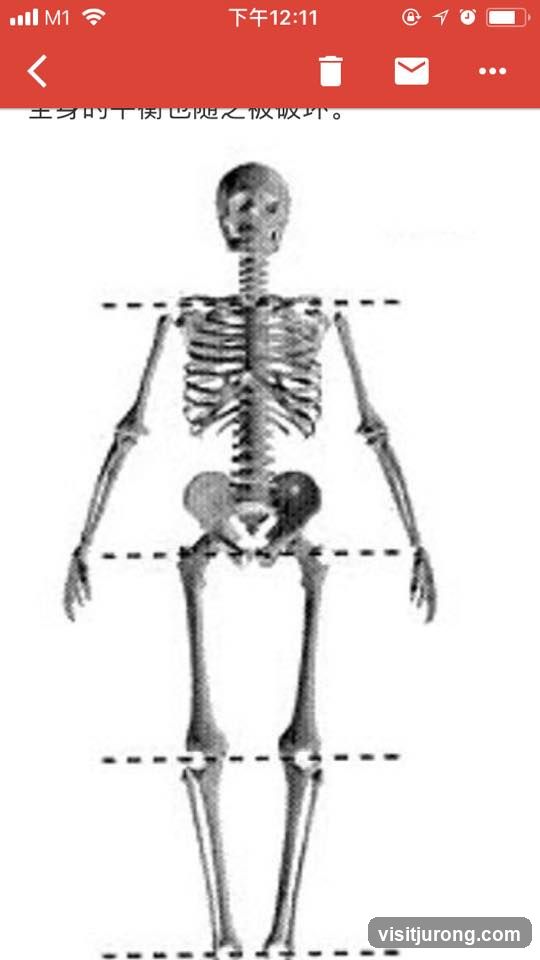 Skeleton Diagram