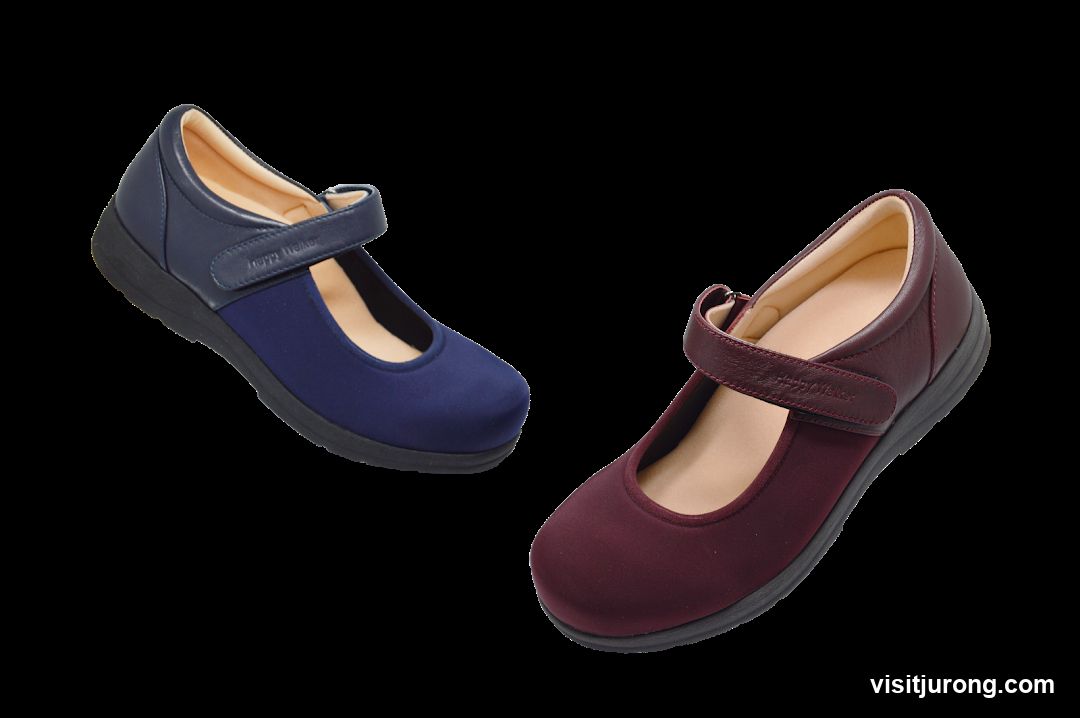 Two Mary Jane Shoes