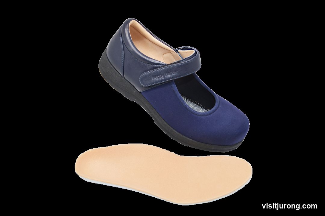 Blue Mary Jane Shoe with Insole