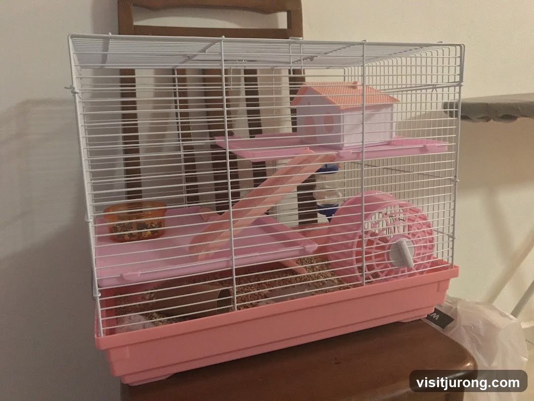 Hamster Cage
