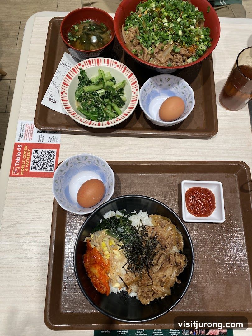 Two Japanese Rice Bowls