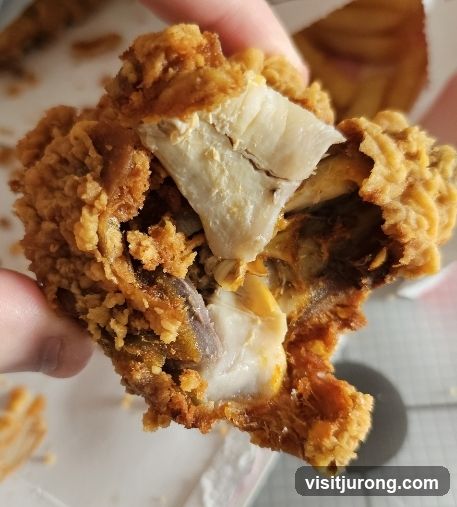 Fried Chicken Piece