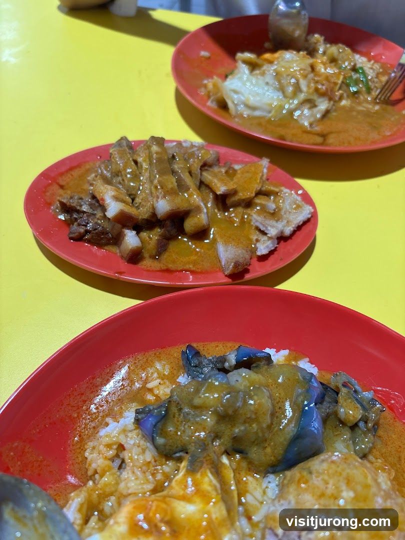 Singtaste Hainanese Scissors Curry Rice