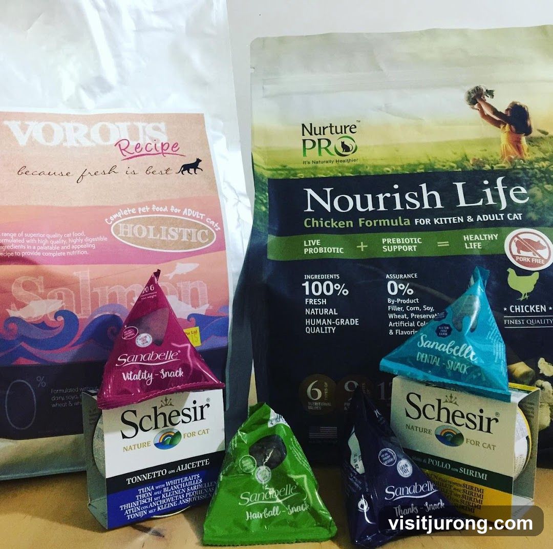 Cat Food and Snacks