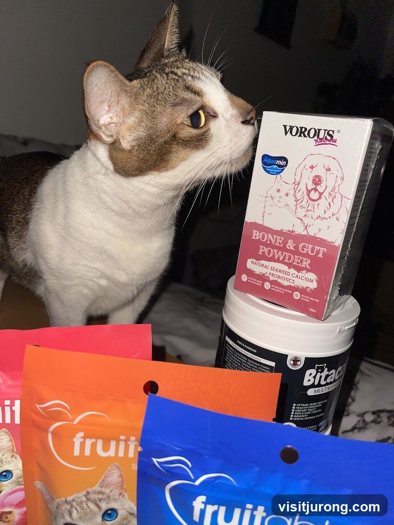 Cat with pet supplements