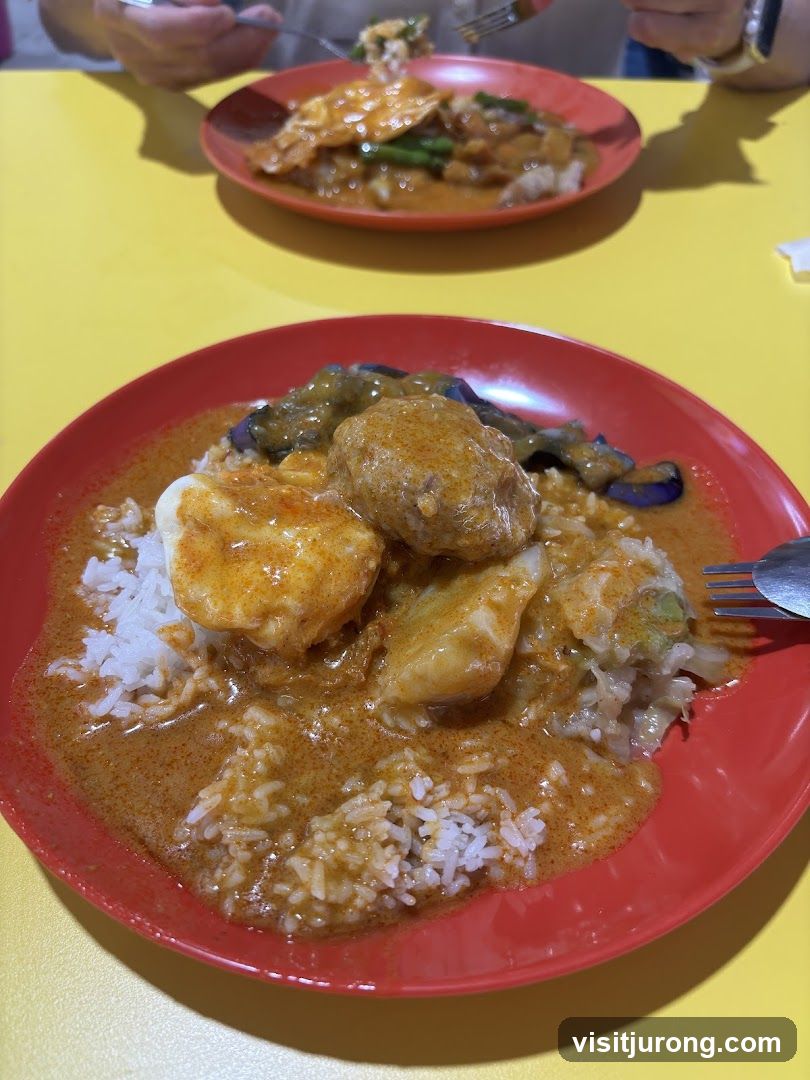 Curry Rice Dishes