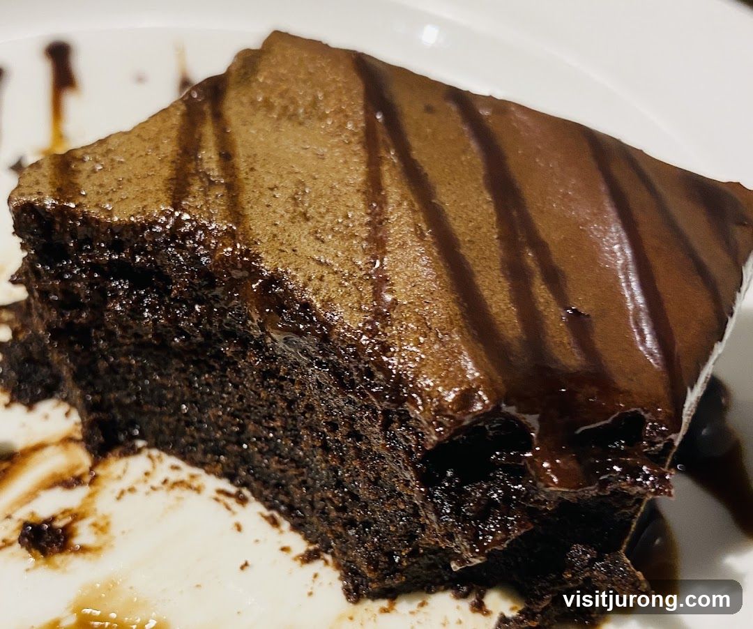 Chocolate Cake Slice
