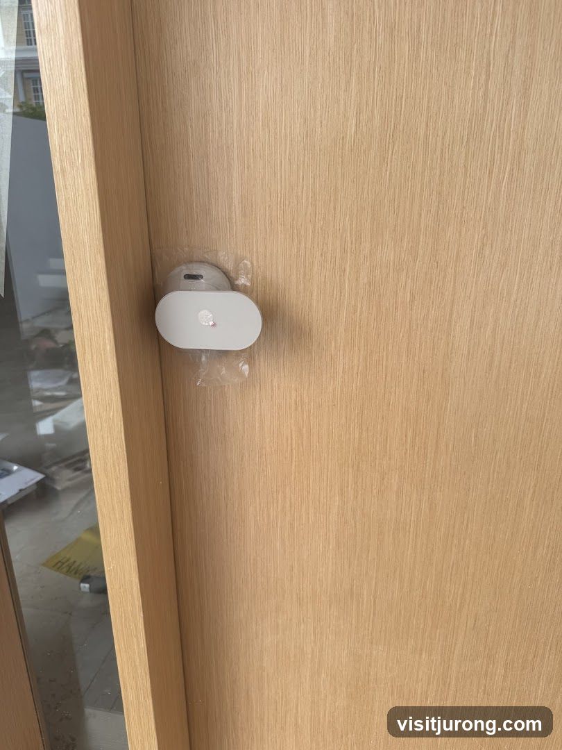 Door handle with security tag