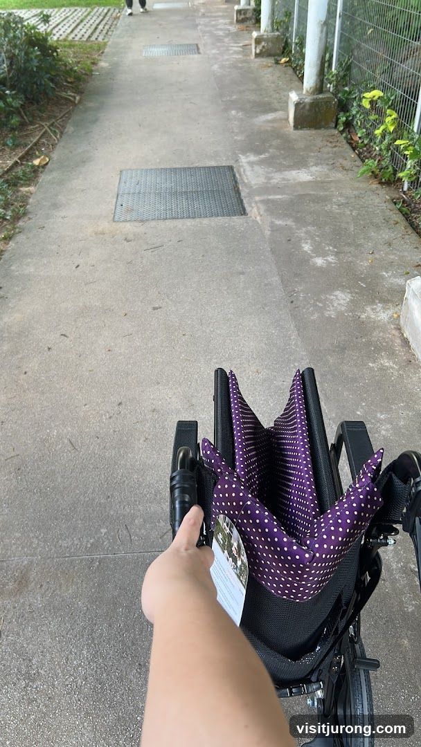 Wheelchair on a Path