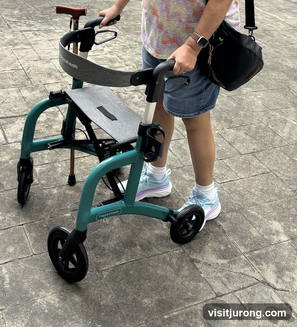 Person with a Teal Walker