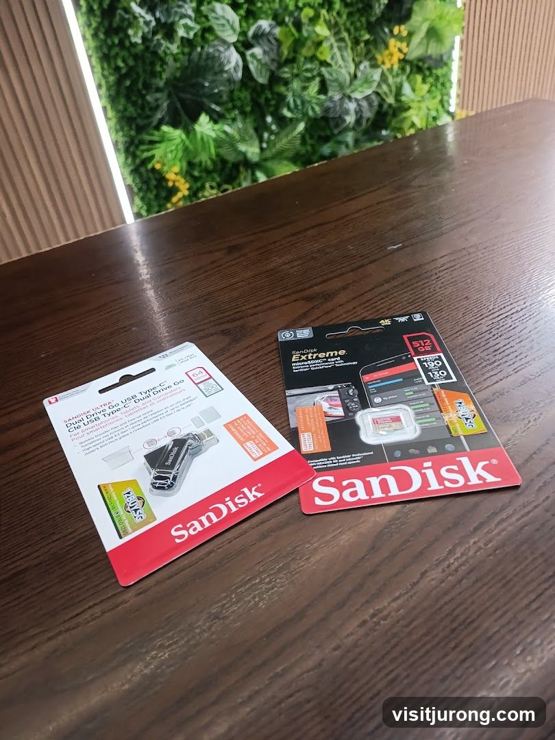 SanDisk Storage Devices