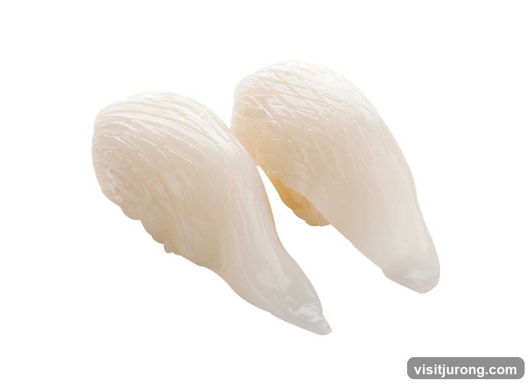 Squid Sushi