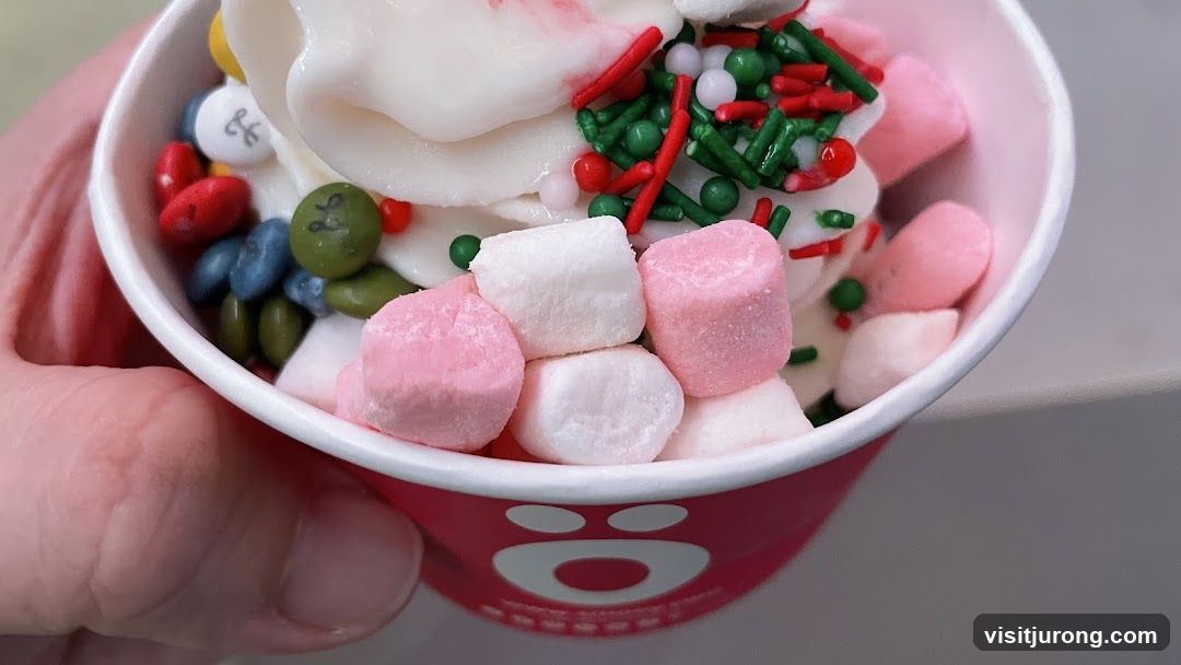 Frozen Yogurt with Toppings