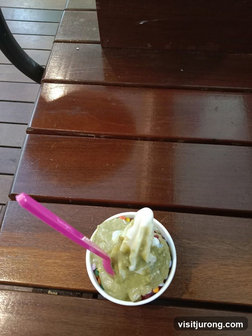 Frozen Yogurt with Toppings