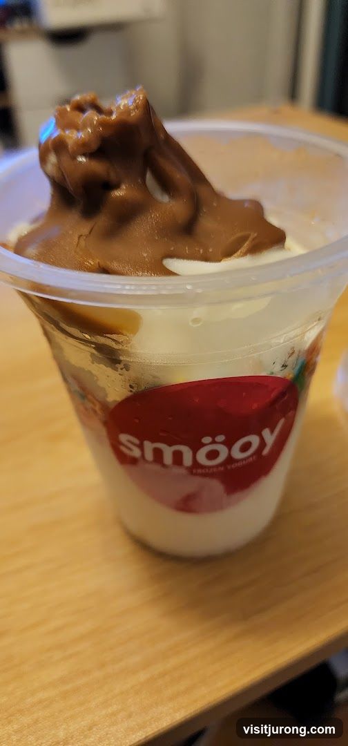 Frozen Yogurt with Chocolate Topping