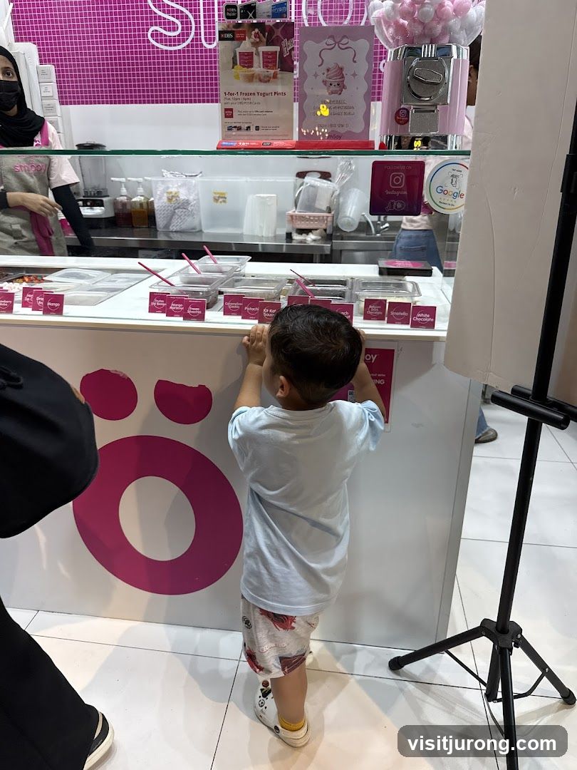 Frozen Yogurt Toppings Bar