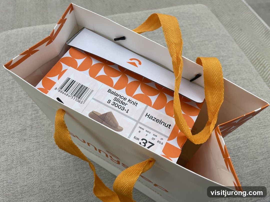 Shopping Bag with Shoe Box