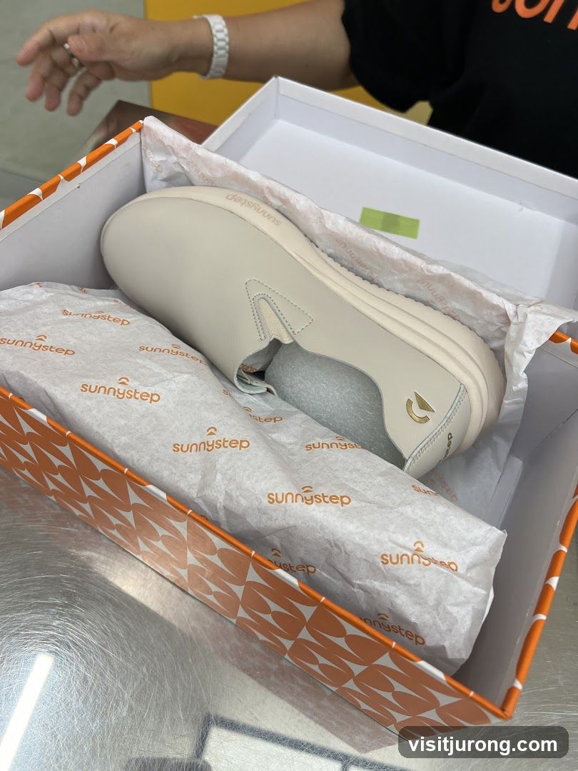 Shoe Box with Shoes