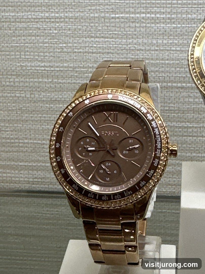 Fossil Watch