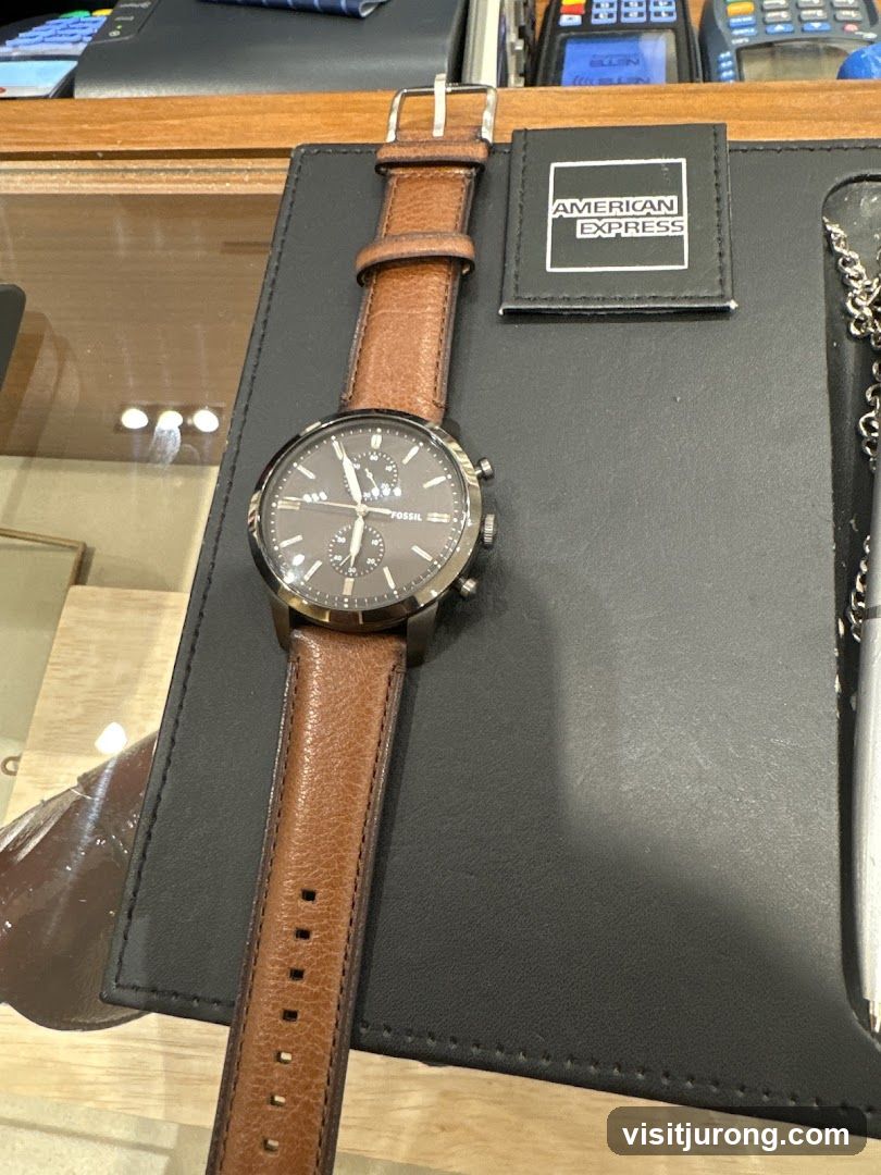 Fossil Watch Display