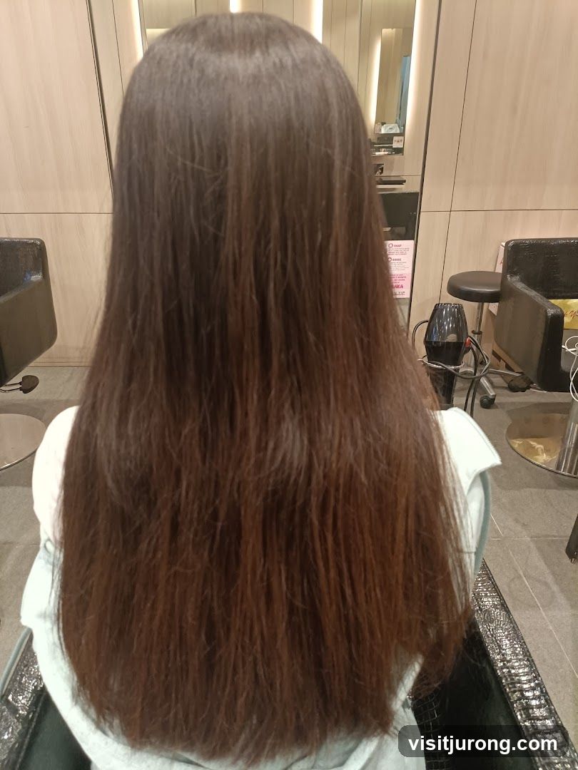 Woman's Long Brown Hair
