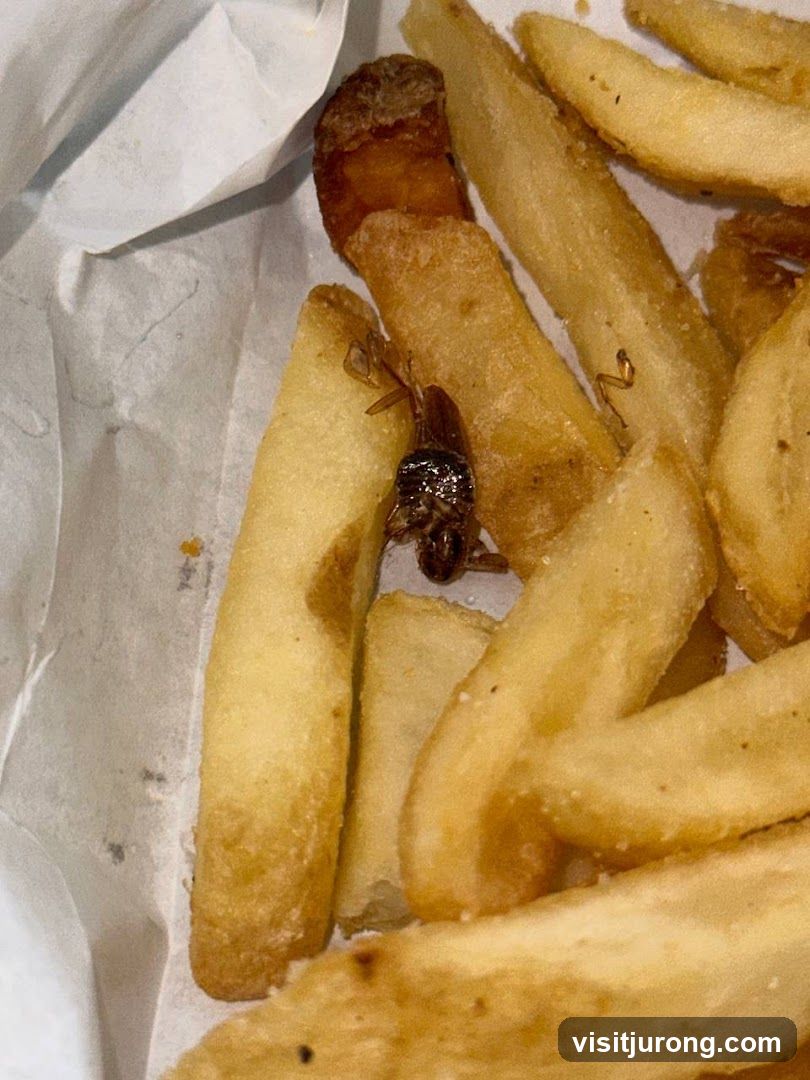 Cockroach in French Fries