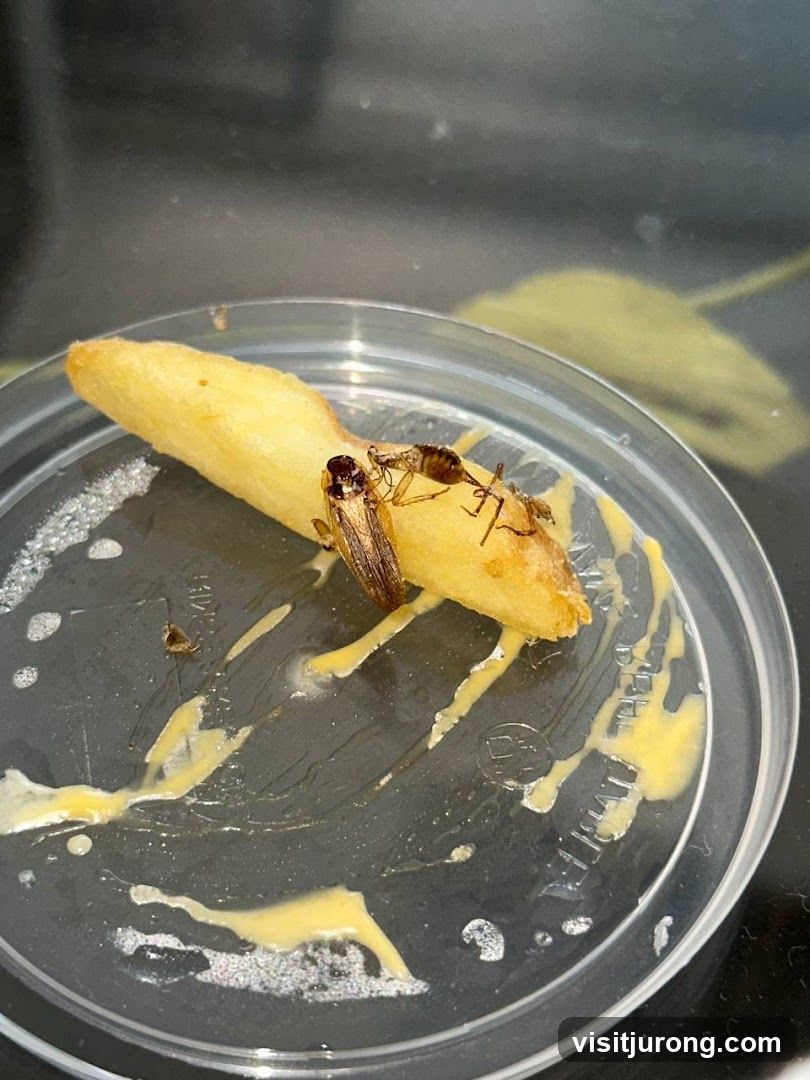 Insects on a French Fry