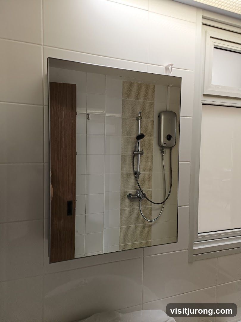 Bathroom Mirror Reflection