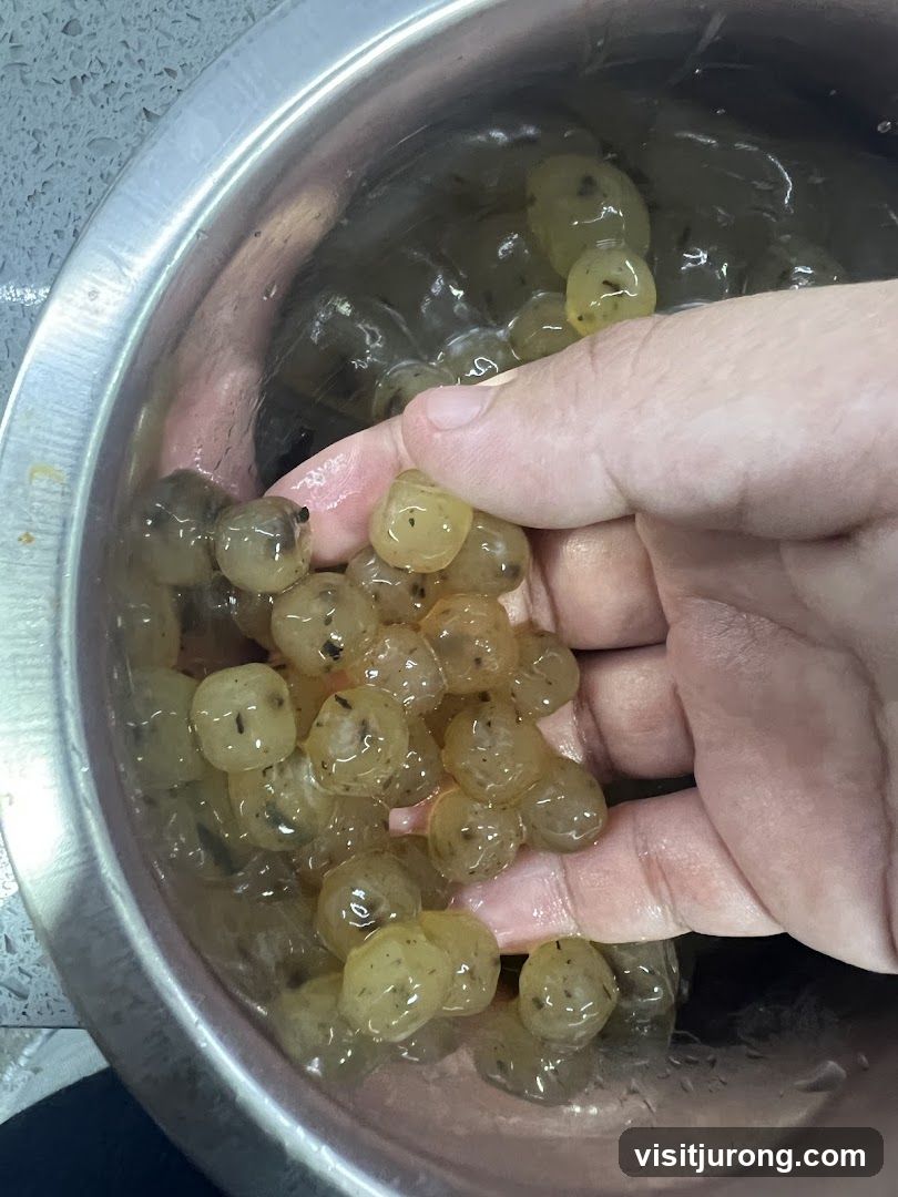Handful of Tapioca Pearls