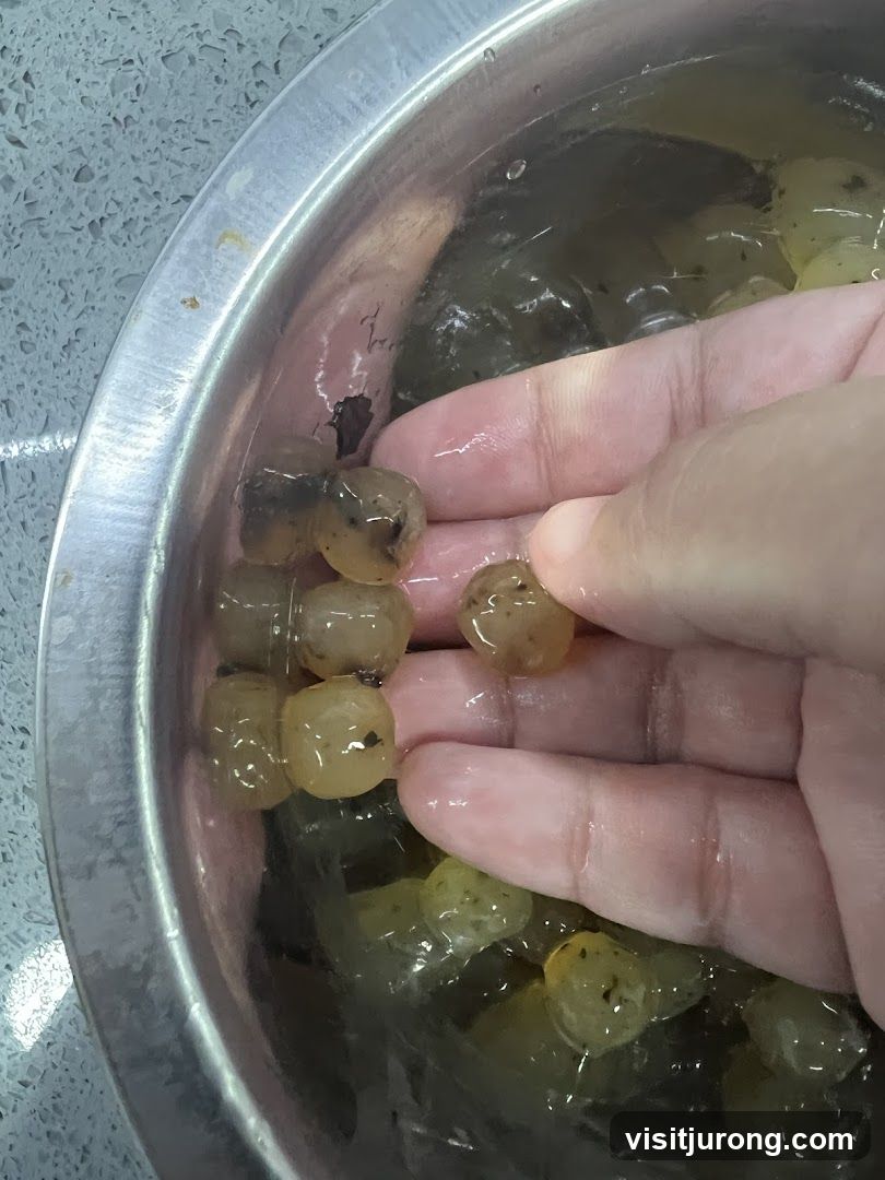 Hand holding small, translucent spheres in a bowl of liquid