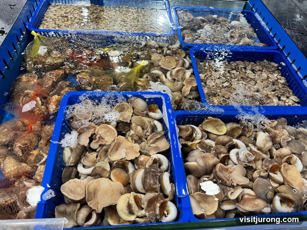 Fresh Seafood Display