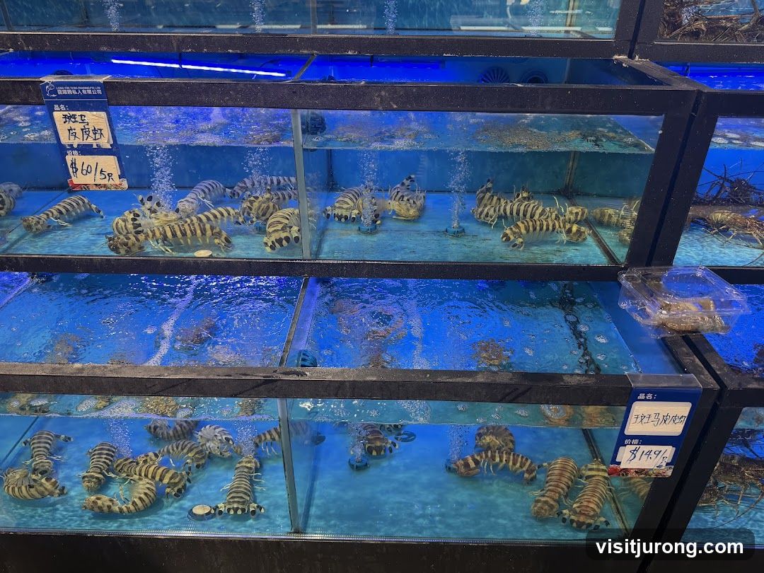 Live Seafood Tanks