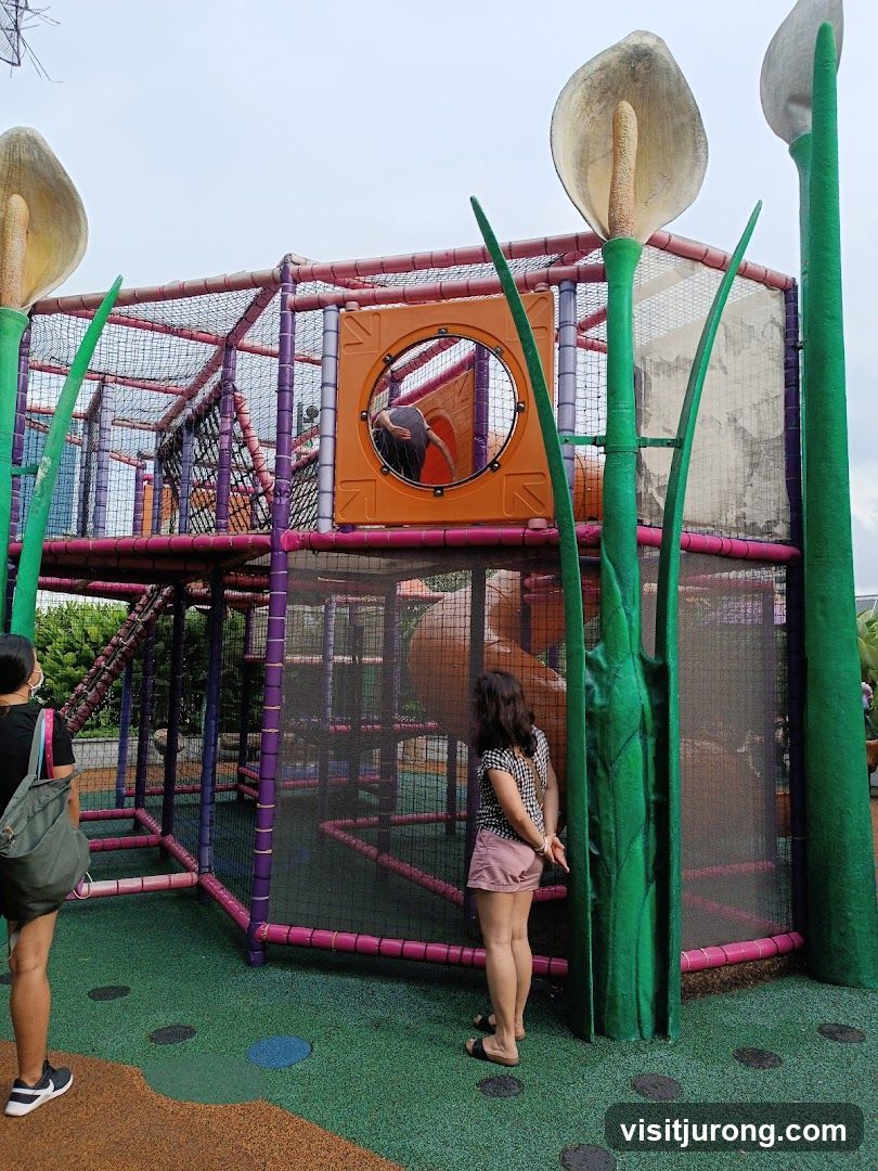 Indoor Playground Structure