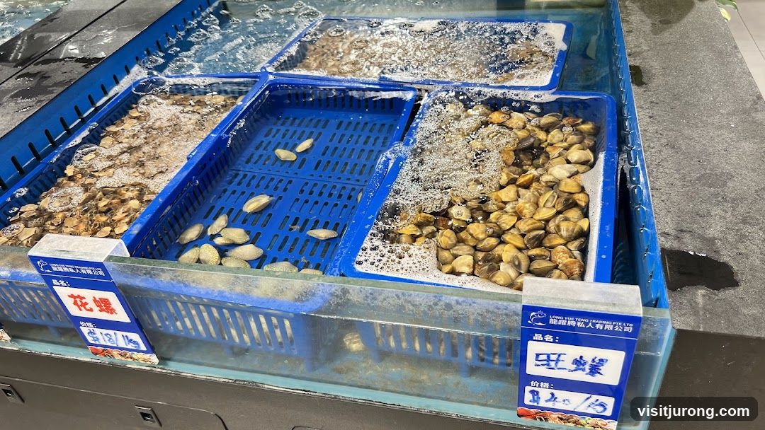 Seafood Display