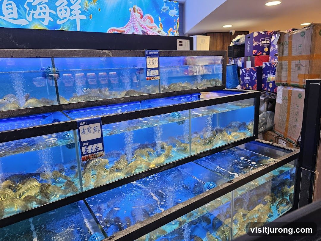 Seafood Display Tanks
