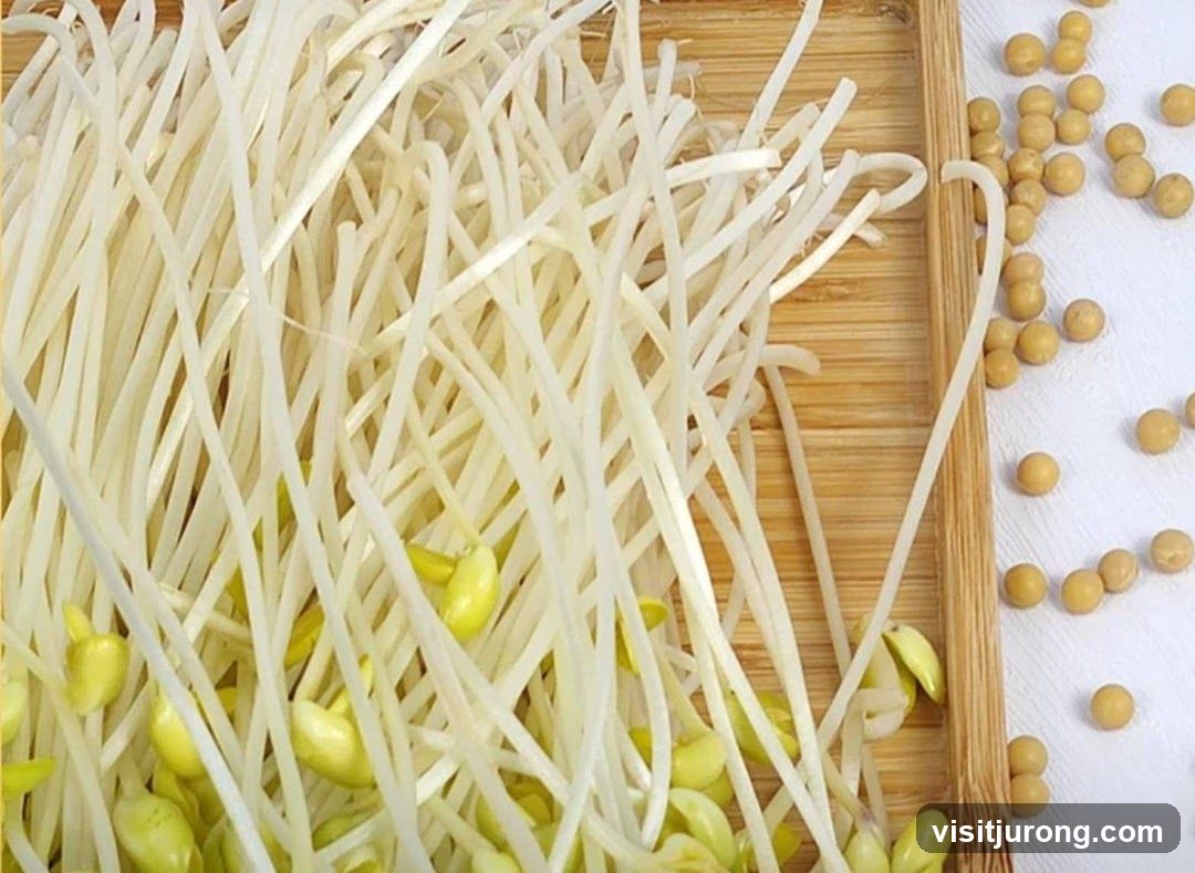 Soybean Sprouts