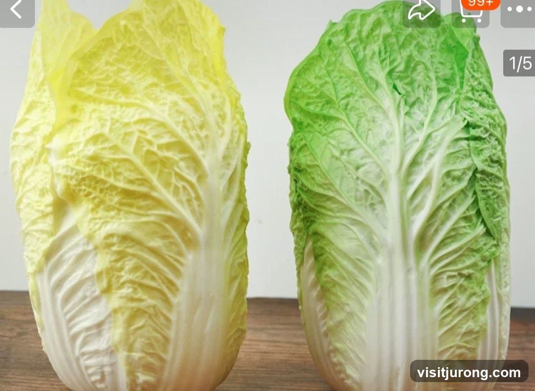 Napa Cabbage