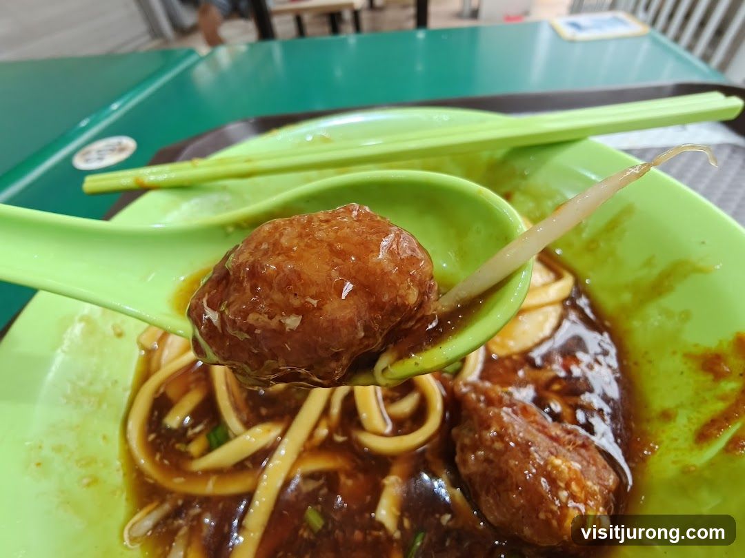 Noodle Dish with Meatball