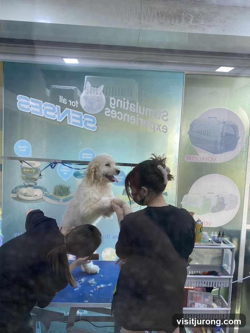Dog grooming