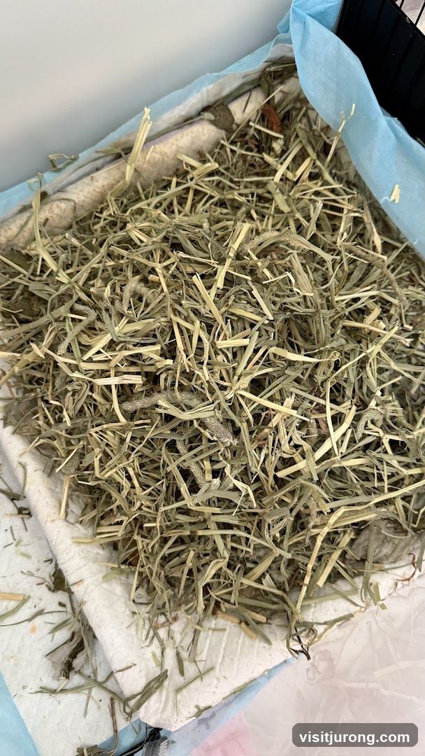 Hay bedding