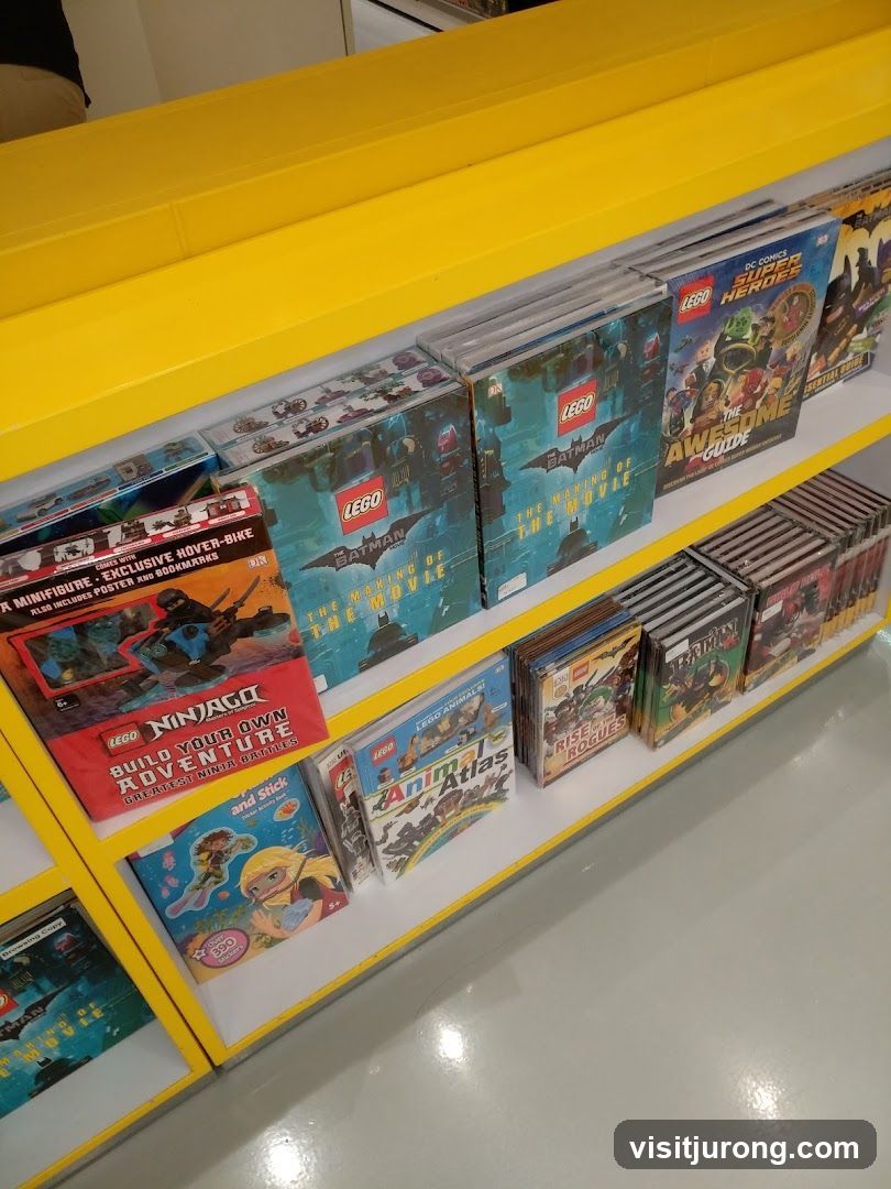LEGO Books and Activity Sets
