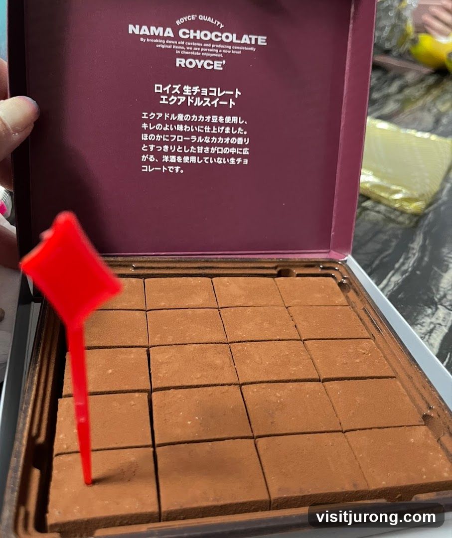 Royce' Nama Chocolate