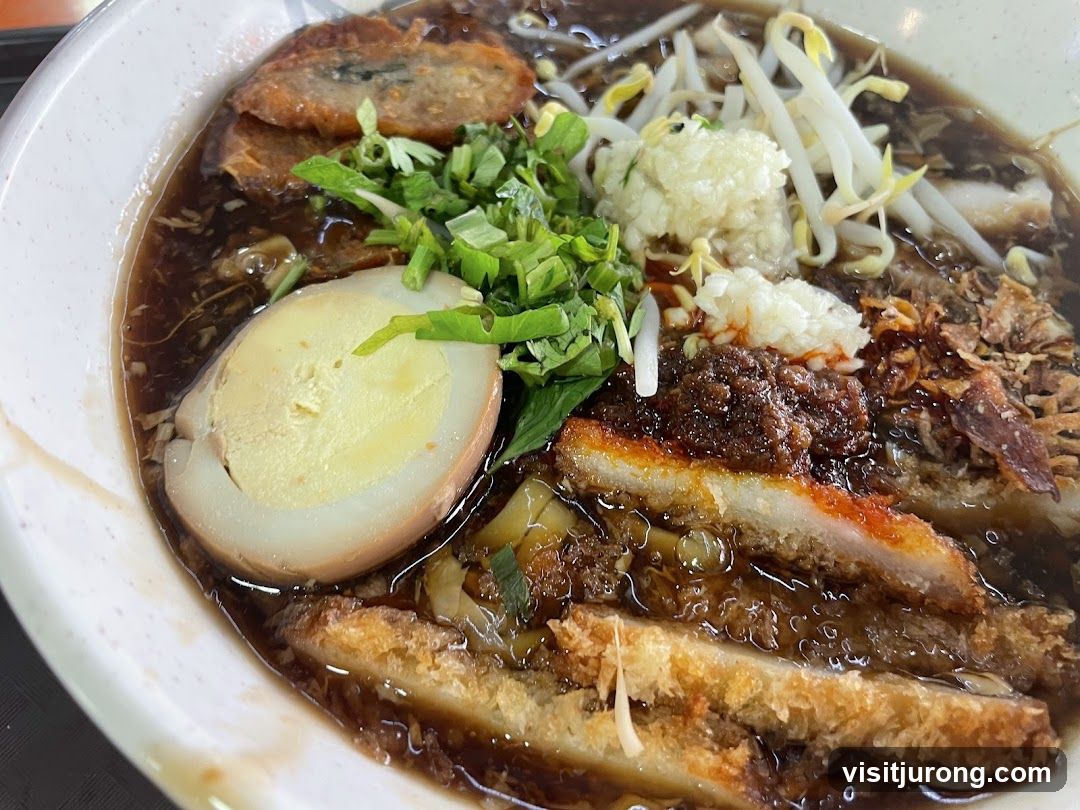 Braised Pork Noodles