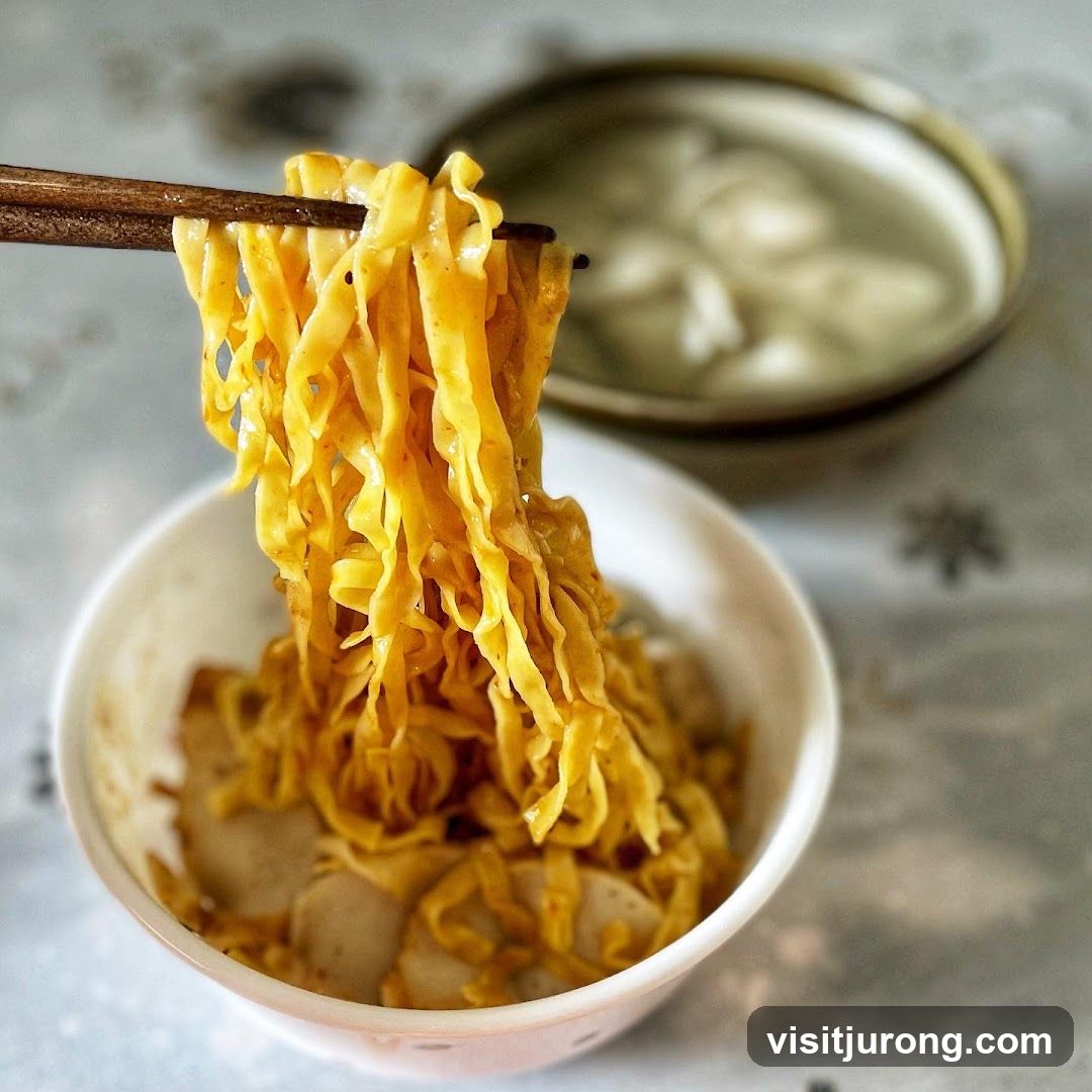 Wen Guang Handmade Fishball Noodle 文光自制鱼丸面
