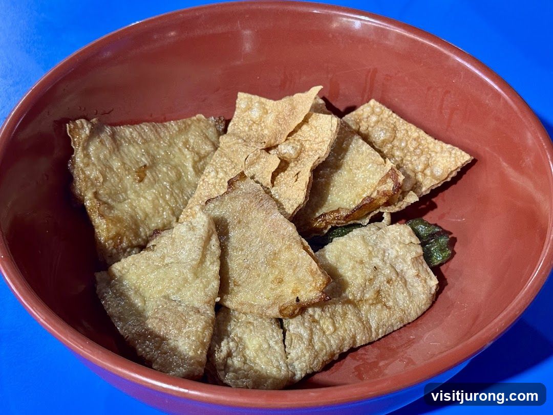Fried Tofu Skin